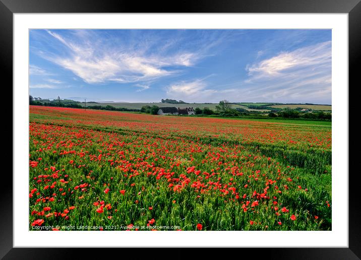 Isle Of Wight Poppies Framed Mounted Print by Wight Landscapes