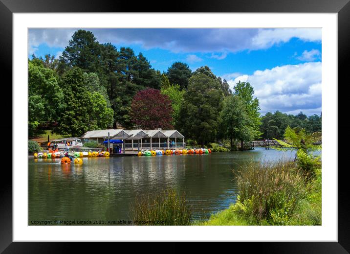 View of Lake at Emerald Lake Park in Gembrook. Mel Framed Mounted Print by Maggie Bajada