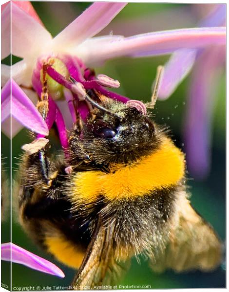 Bee enjoying some nectar lunch Canvas Print by Julie Tattersfield