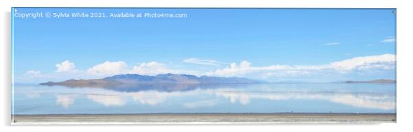 The Great Salt Lake Acrylic by Sylvia White
