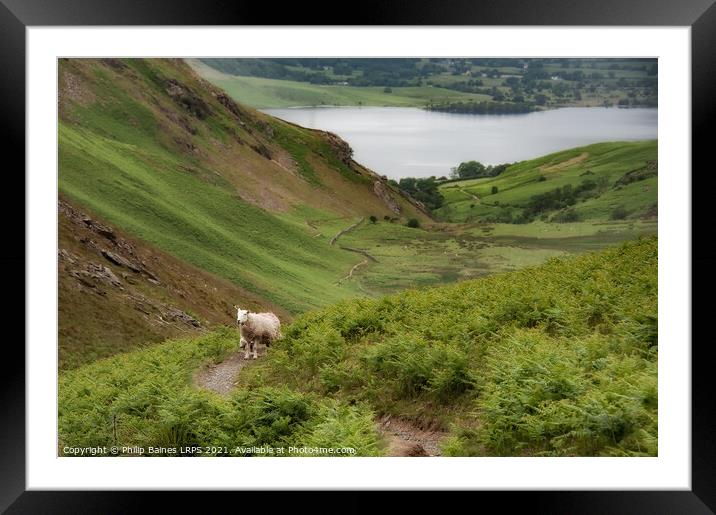 Crummock Water from Rannerdale Knotts Framed Mounted Print by Philip Baines