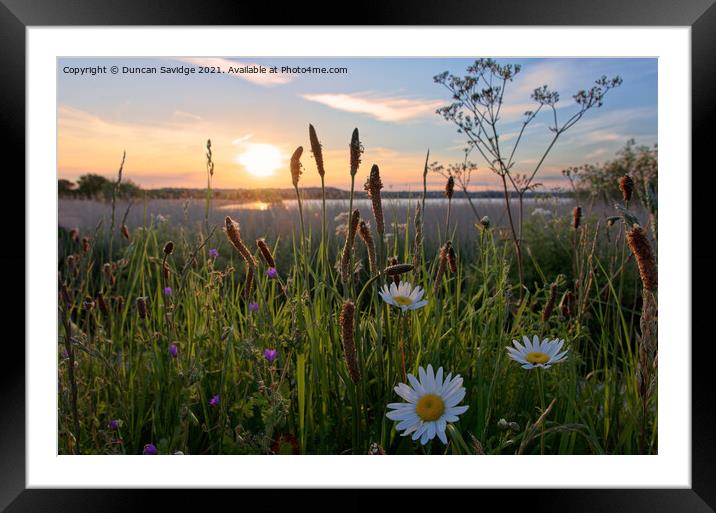 Chew Valley Lake Daisy sunset Framed Mounted Print by Duncan Savidge
