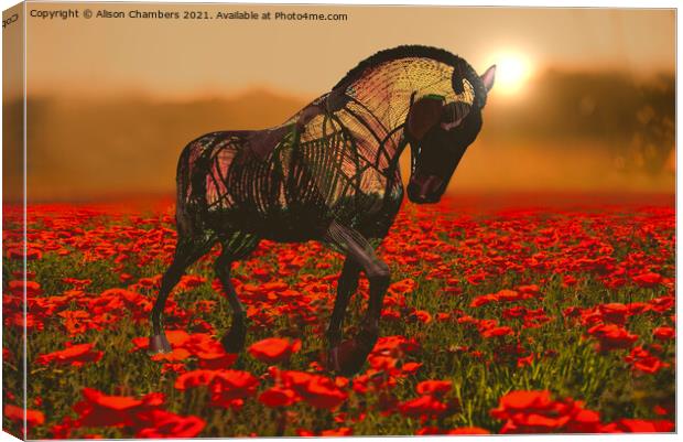 War Horse  Canvas Print by Alison Chambers