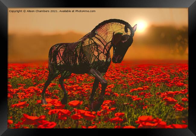 War Horse  Framed Print by Alison Chambers