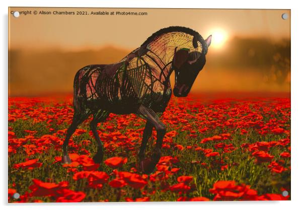 War Horse  Acrylic by Alison Chambers