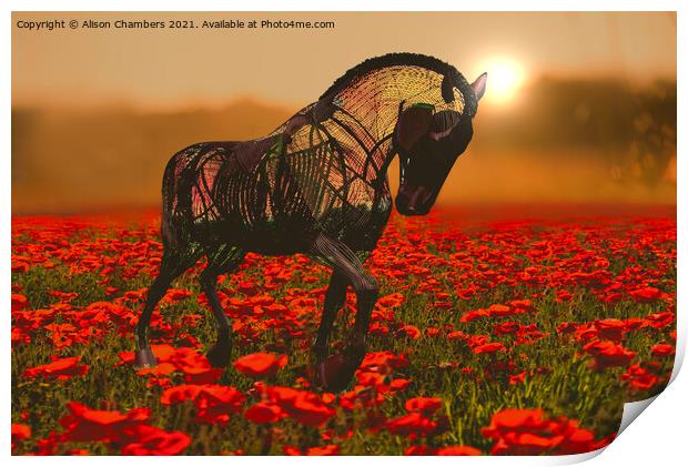 War Horse  Print by Alison Chambers