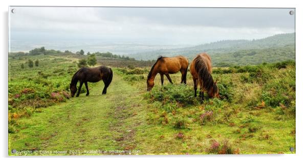 Quantock Hills Horses Somerset Panoramic Acrylic by Diana Mower