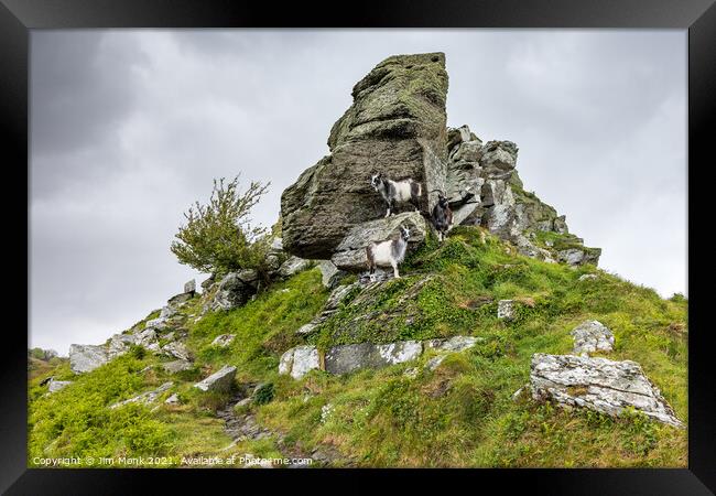 Valley of Rocks in Devon  Framed Print by Jim Monk
