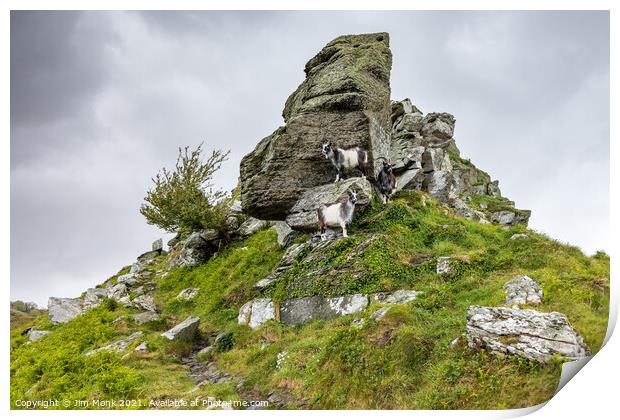 Valley of Rocks in Devon  Print by Jim Monk