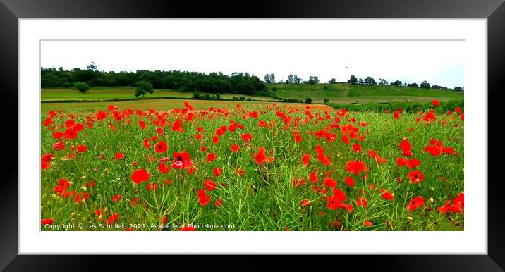 Poppies  Framed Mounted Print by Les Schofield