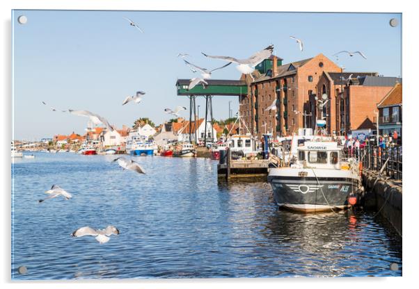 Gulls feeding in Wells Next The Sea harbour Acrylic by Jason Wells