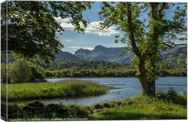 Elterwater and the Langdale Pikes Canvas Print by Liz Withey