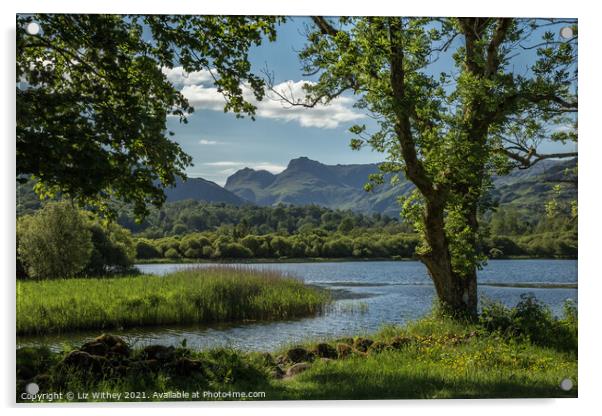 Elterwater and the Langdale Pikes Acrylic by Liz Withey