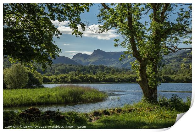 Elterwater and the Langdale Pikes Print by Liz Withey