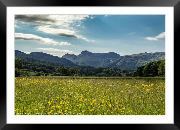 Langdale Pikes  Framed Mounted Print by Liz Withey