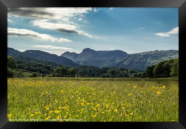 Langdale Pikes  Framed Print by Liz Withey