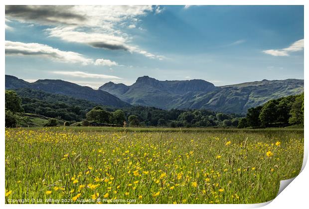 Langdale Pikes  Print by Liz Withey