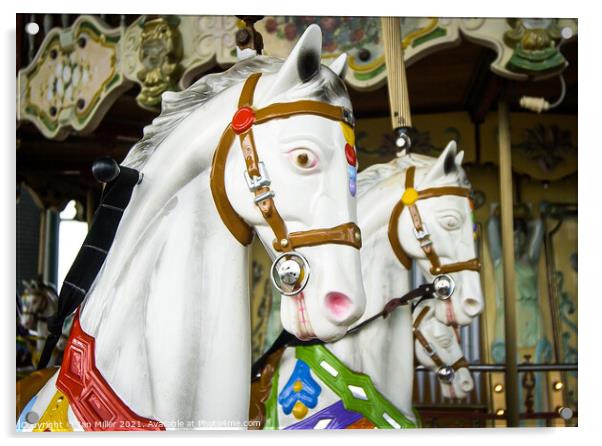 Carousel Horse at Blackpool Acrylic by Ian Miller