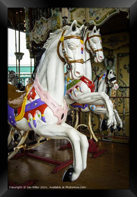 Carousel Horse at Blackpool, UK Framed Print by Ian Miller