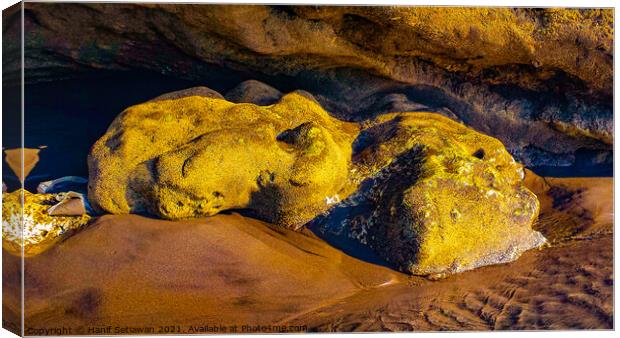 Frog stone sculpture art by natural water erosion Canvas Print by Hanif Setiawan