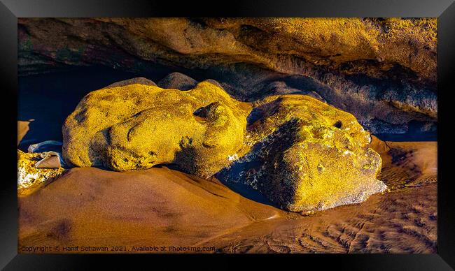 Frog stone sculpture art by natural water erosion Framed Print by Hanif Setiawan