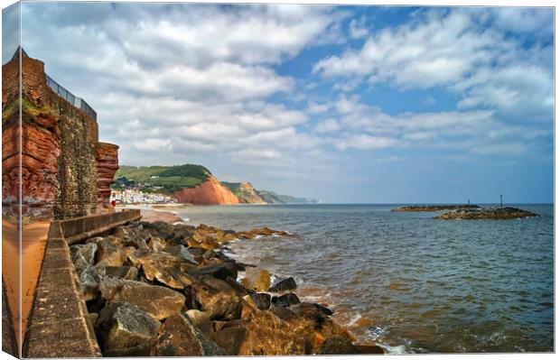 Coastline at Sidmouth    Canvas Print by Darren Galpin