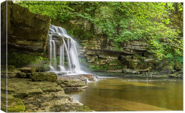 West Burton Waterfall Yorkshire Dales  Canvas Print by Nick Jenkins