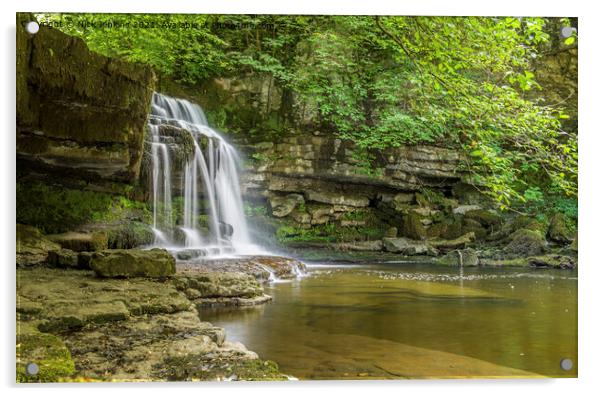 West Burton Waterfall Yorkshire Dales  Acrylic by Nick Jenkins