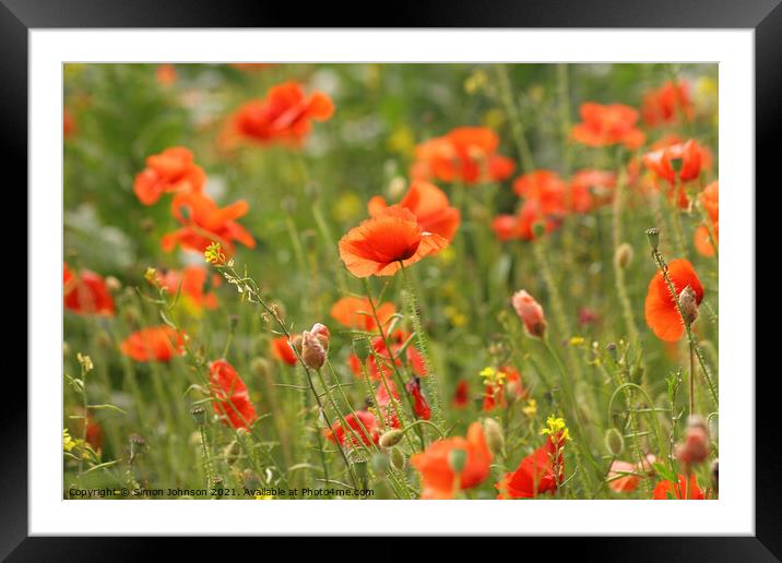  Poppies Framed Mounted Print by Simon Johnson