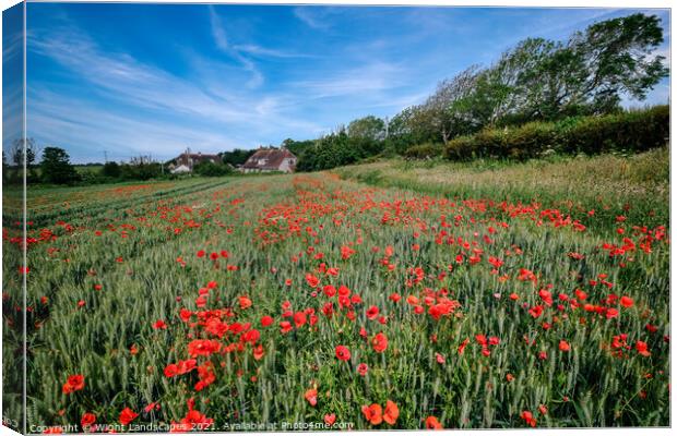 Isle Of Wight Red Poppies Canvas Print by Wight Landscapes