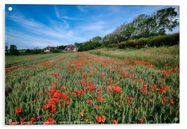 Isle Of Wight Red Poppies Acrylic by Wight Landscapes