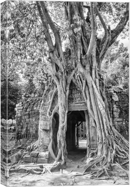 Tree covering temple entrance Canvas Print by Kevin Hellon
