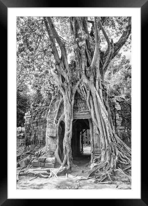 Tree covering temple entrance Framed Mounted Print by Kevin Hellon