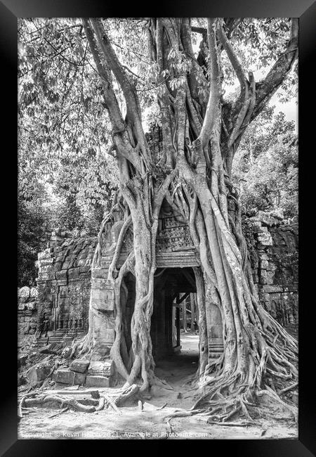 Tree covering temple entrance Framed Print by Kevin Hellon