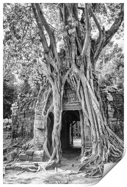 Tree covering temple entrance Print by Kevin Hellon
