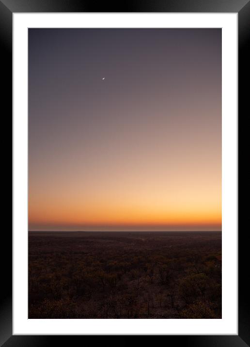 Sunset with Moon in African Savanna Framed Mounted Print by Dietmar Rauscher