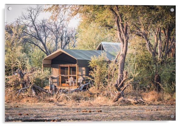 Luxury Safari Tent in a Camp in the Okavango Delta, Botswana, Af Acrylic by Dietmar Rauscher