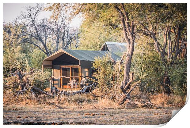 Luxury Safari Tent in a Camp in the Okavango Delta, Botswana, Af Print by Dietmar Rauscher