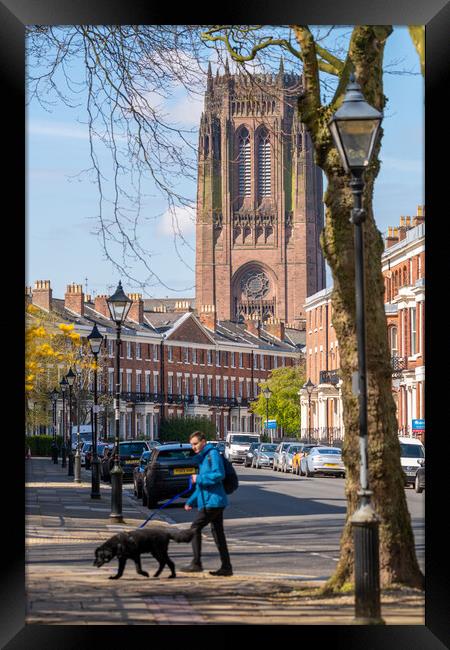 Georgian Quarter, Liverpool Framed Print by Dave Wood