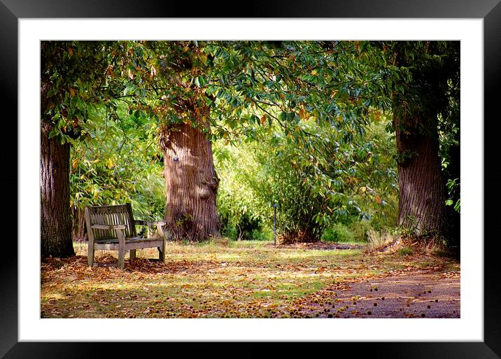 A place to relax Framed Mounted Print by Catherine Joll