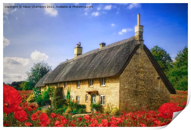 Poppy Field Cottage Print by Alison Chambers