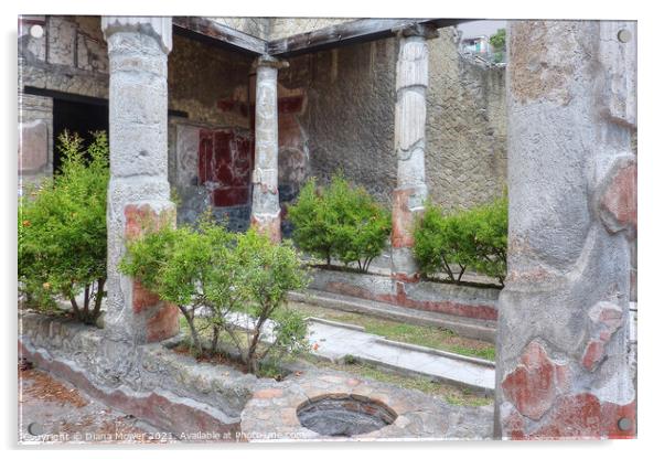 Herculaneum Courtyard garden Italy Acrylic by Diana Mower