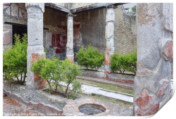 Herculaneum Courtyard garden Italy Print by Diana Mower