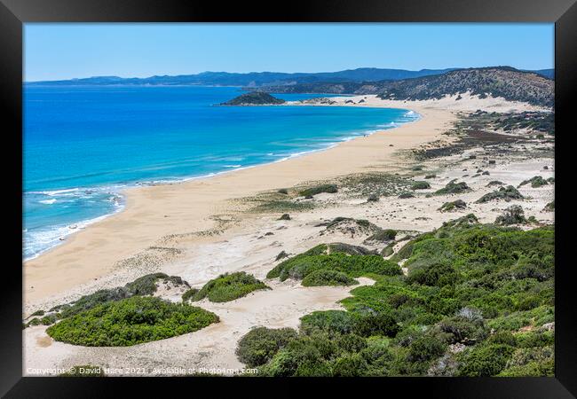 Cypriot Beach Framed Print by David Hare