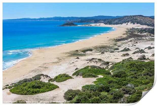 Cypriot Beach Print by David Hare