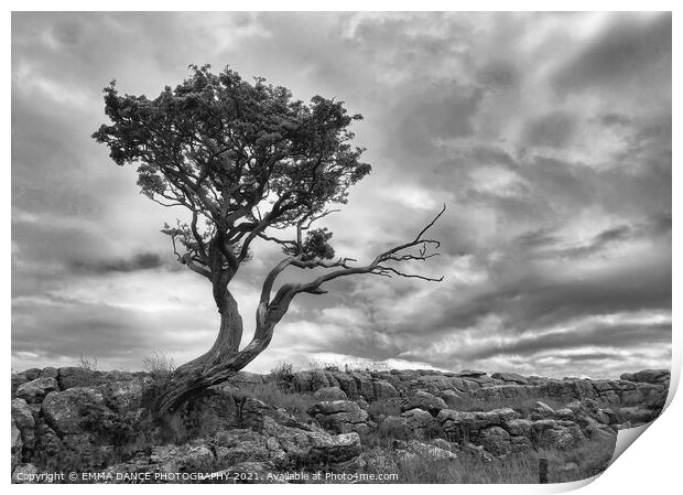 The Yorkshire Dales, Malham Print by EMMA DANCE PHOTOGRAPHY
