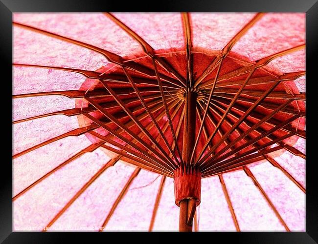 Umbrella at work. Framed Print by Ian Miller