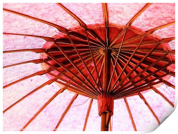 Umbrella at work. Print by Ian Miller