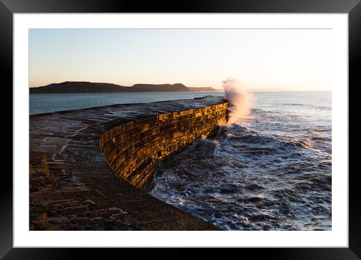 Lyme Regis Harbour Wall, The Cobb Framed Mounted Print by Alan Jackson