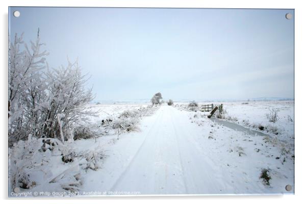 Winter on the Somerset Levels Acrylic by Philip Gough